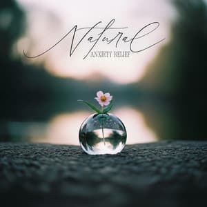 Natural Anxiety Relief - Pure Day Academy