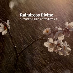 Raindrops Divine: A Peaceful Rain of Meditation - Rain and Thunder Sounds