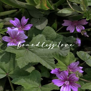 Boundless Love - Relaxing Piano Music Consort