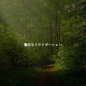 贅沢なリラクゼーション - Instrumental Study Music