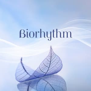 Biorhythm: Harmonizing Nature and Drumming for Meditation, Yoga, Relaxation - Harmony Nature Sounds Academy
