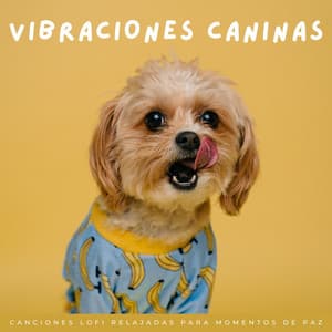Vibraciones Caninas: Canciones Lofi Relajadas Para Momentos De Paz - Escalofrío Lofi