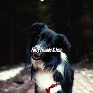 Furry Friends & Jazz - Sleeptime for Dogs