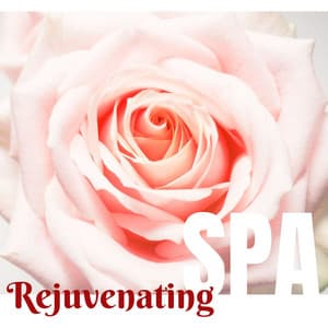 Rejuvenating Spa: Begin the Detoxification Process, Relaxing Spa Music for Health Treatments - Gentle Experience