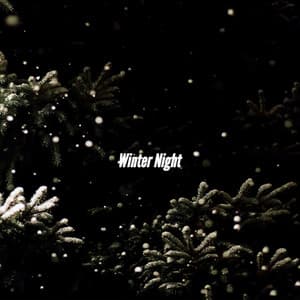 Winter Night - Latin Jazz Vibes