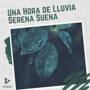 1 Hora de Lluvia Serena Suena - #Calmante
