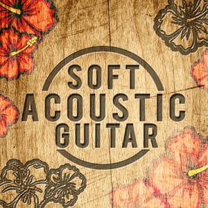 Soft Acoustic Guitar - Instrumental Guitar Music