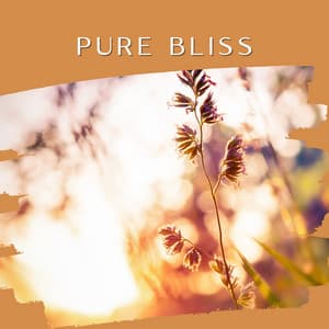 Pure Bliss - Tranquility Oasis