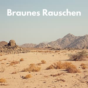 Braunes Rauschen - Weißes Rauschen