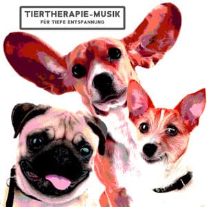 Tiertherapie-Musik für tiefe Entspannung - Entspannende Haustier Akademie