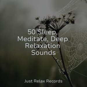 50 Sleep, Meditate, Deep Relaxation Sounds - Zen Music Garden