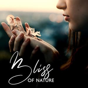 Bliss of Nature: Relaxing Background Music with Nature Sounds for Deep Sleep, Yoga Meditation, Insomnia Cure - Mindfulness Meditation Music Spa Maestro
