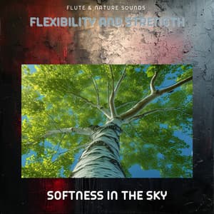 Flexibility and Strength - Flute & Nature Sounds