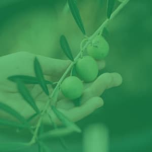 Music for Unique Thoughts - Beautiful No Drums Jazz - Cool Jazz Moods