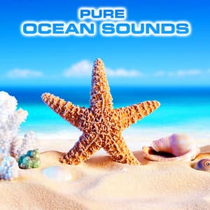 Pure Ocean Sounds - Ocean Sounds FX