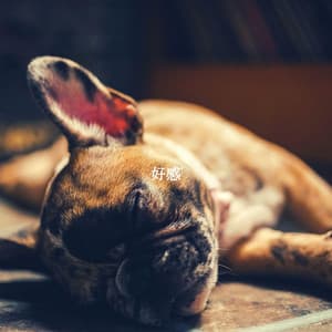 好感 - Playliste Travail à Domicile