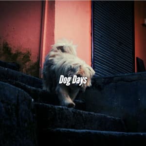 Dog Days - Relaxing Dog Music Society