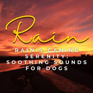 Rain's Canine Serenity: Soothing Sounds for Dogs - The Dog Music Legends