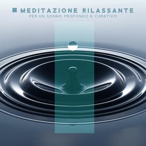 Meditazione rilassante per un sonno profondo e curativo: Suoni curativi della natura, Benefica sala relax, Trattamenti rilassanti - Atmosfera Zen di Acqua Calma