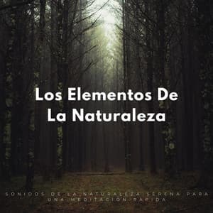 Los Elementos De La Naturaleza: Sonidos De La Naturaleza Serena Para Una Meditación Rápida - Naturaleza Sonidos
