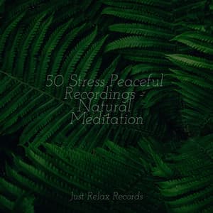 50 Stress Peaceful Recordings - Natural Meditation - Yoga