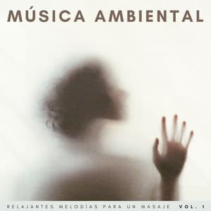 Música Ambiental: Relajantes Melodías Para Un Masaje Vol. 1 - Effectum