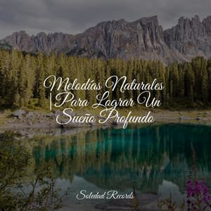 Melodías Naturales |Para Lograr Un Sueño Profundo - Meditação Yoga Maestro