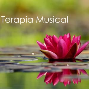 Terapia Musical - Música de Fundo com Sons da Natureza, Músicas Instrumentais Calmantes - Alexandre Calma