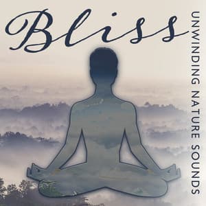 Bliss: Unwinding Nature Sounds - Spiritual Connections, Positive Energy Bonds, Chill & Relaxation - Relaxing Nature Essence