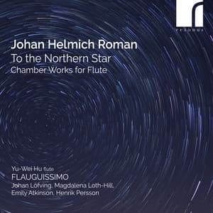Roman: To the Northern Star - Johan Helmich Roman