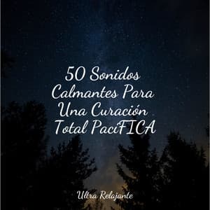 50 Sonidos Calmantes Para Una Curación Total PacíFICA - Sonidos de la Naturaleza Relax
