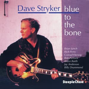 Blue to the Bone - Dave Stryker