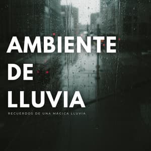 Ambiente De Lluvia: Recuerdos De Una Mágica Lluvia - Arroyos y niebla