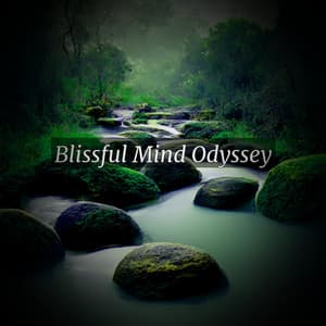 Blissful Mind Odyssey - Eon Wilder