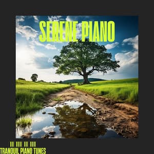 Serene Piano: Calm Your Spirit - Tranquil Piano Tunes
