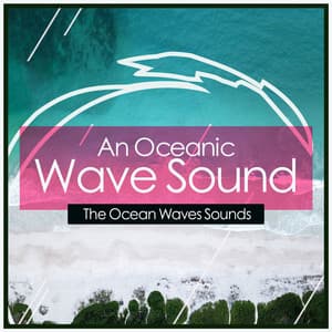 An Oceanic Wave Sound - The Ocean Waves Sounds
