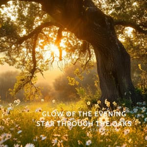 Glow of the Evening Star Through the Oaks - Starwater