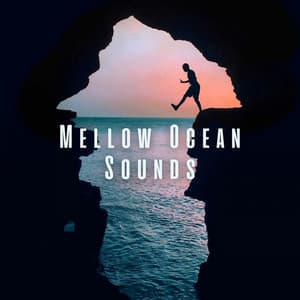 Mellow Ocean Sounds - Pacific Ocean Wave Sounds