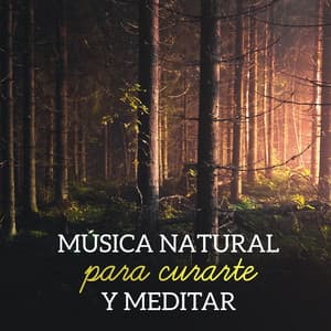 Música natural para curarte y meditar - Academia de Sonidos de la Naturaleza para Dormir
