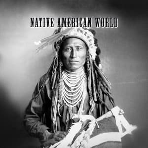 Native American World: Spiritual Journey with Ethnic Native American Rhythms - Native American Music Consort