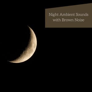 Night Ambient Sounds with Brown Noise, Loopable - Night Nature Sounds