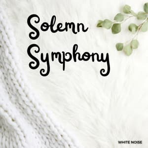 White Noise: Solemn Symphony - White Noise Baby Sleep Music
