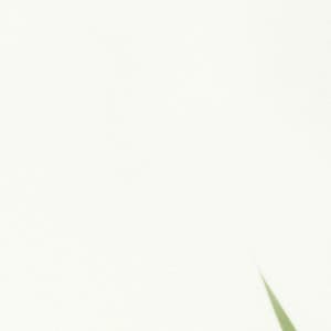 10 Contemplations: Serenity Inner Calm - between waves