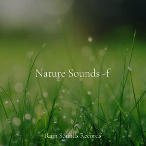 Nature Sounds -f - Sounds of Nature Relaxation