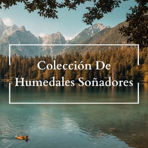 Colección De Humedales Soñadores - Sonido del río para dormir