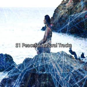 51 Peaceful Natural Tracks - Spiritual Fitness Music
