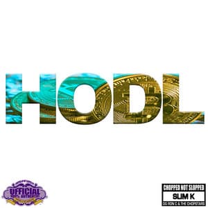 Hodl - DJ Slim K