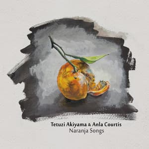 Naranja Songs - Tetuzi Akiyama