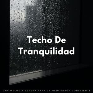 Techo De Tranquilidad: Una Melodía Serena Para La Meditación Consciente - Sonido de lluvia ASMR