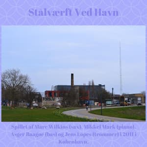 Stålværft Ved Havn - Mikkel Mark